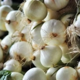 5 Popularnych białych cebuli